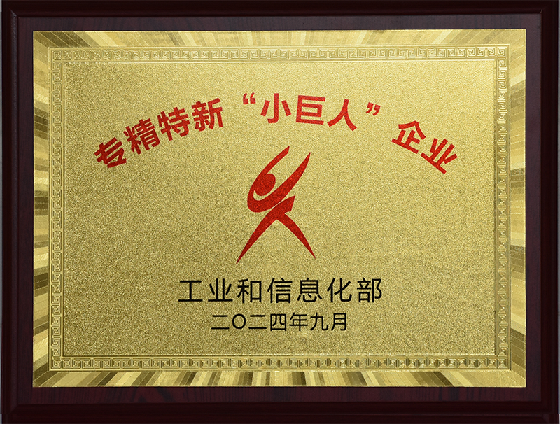 专精特新“小巨人”企业