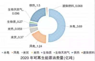my country's renewable energy development path during the 13th Five-Year Plan pe