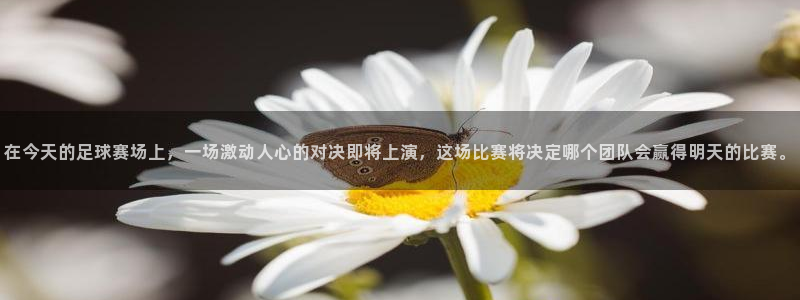 在今天的足球赛场上，一场激动人心的对决即将上演，这场比赛将决