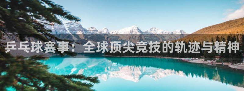 乒乓球赛事：全球顶尖竞技的轨迹与精神