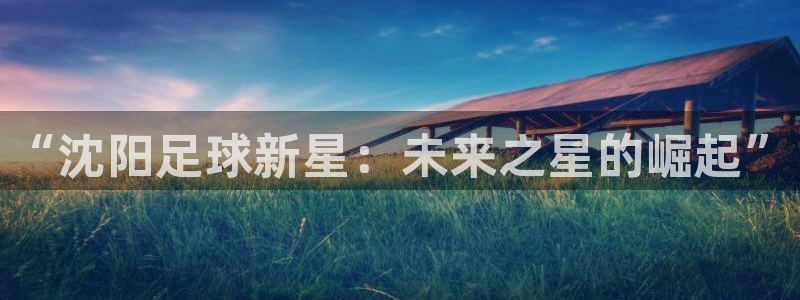 “沈阳足球新星：未来之星的崛起”