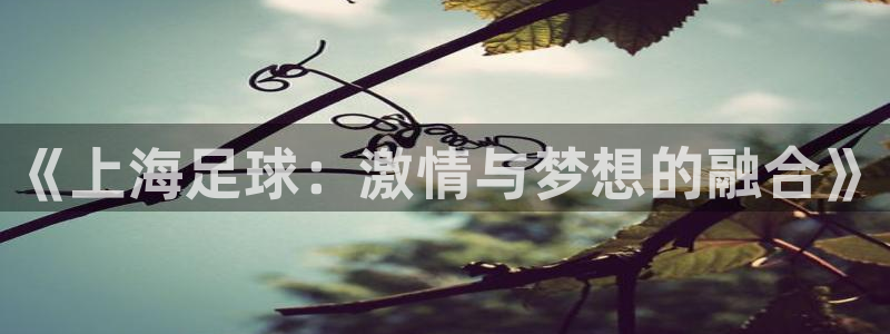 《上海足球：激情与梦想的融合》
