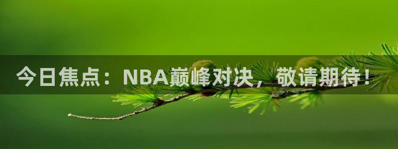 今日焦点：NBA巅峰对决，敬请期待！