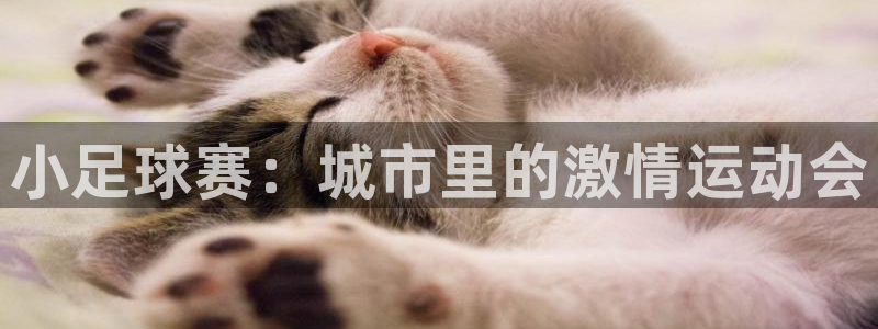 小足球赛：城市里的激情运动会