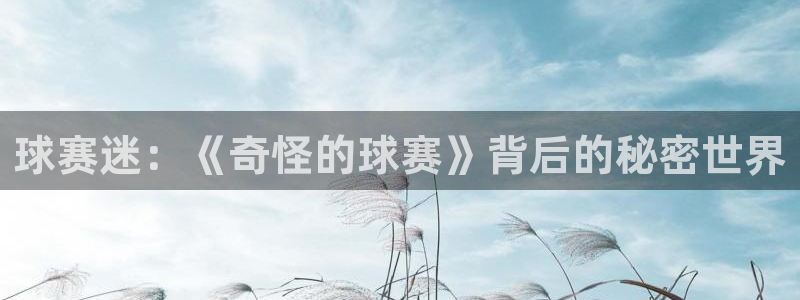 易游手机官网下载：球赛迷：《奇怪的球赛》背后的秘密世界