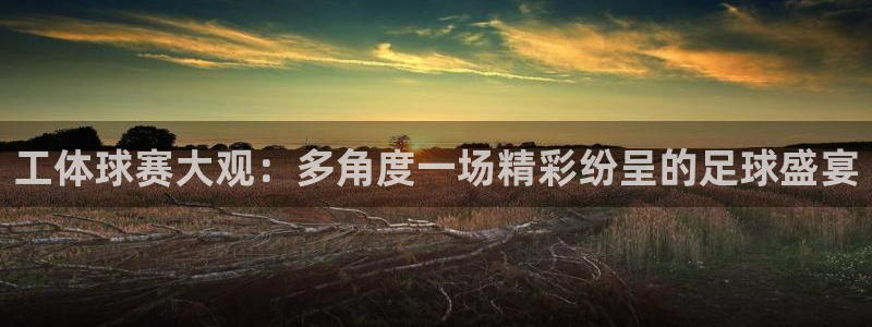 易游体育官方入口入口在哪：工体球赛大观：多角度一场精彩纷呈的
