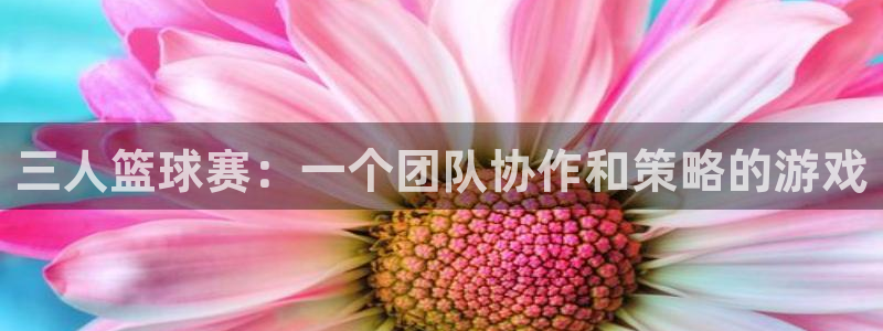 易游体育米乐：三人篮球赛：一个团队协作和策略的游戏